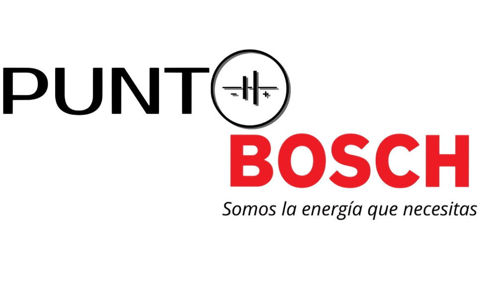 PUNTO BOSCH
